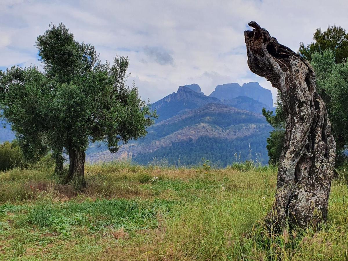 Apartamentos La Venta Del Rome Horta de Sant Joan Esterno foto